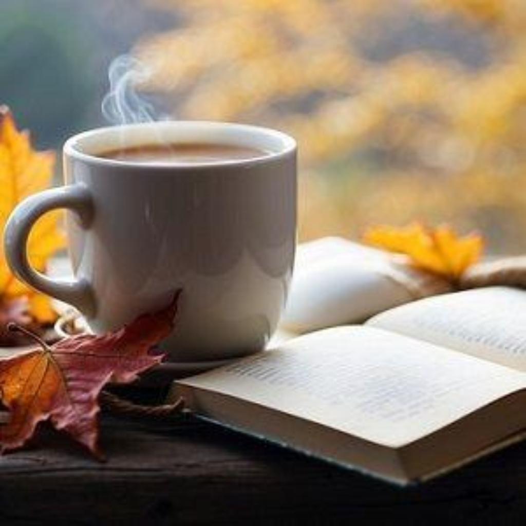 reading-8602113_pixabay